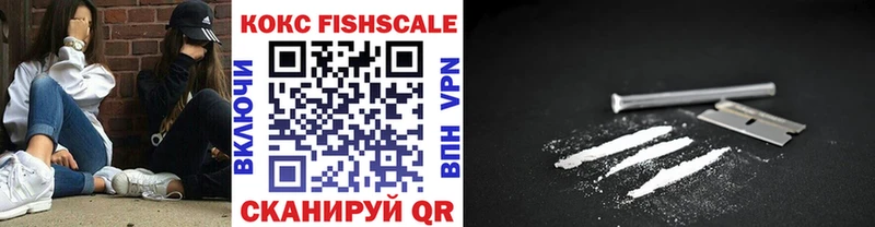 КОКАИН FishScale  купить закладку  Инза 