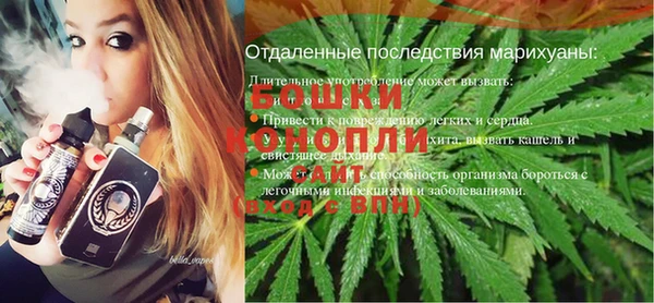 хмурый Бородино
