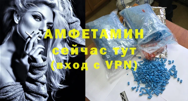 шишки Верхний Тагил