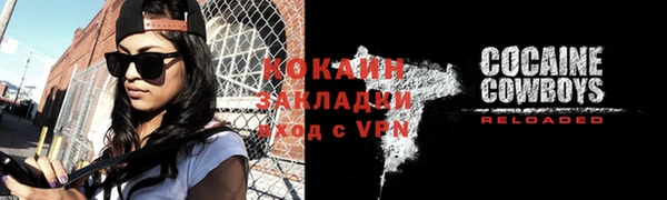 хмурый Бородино