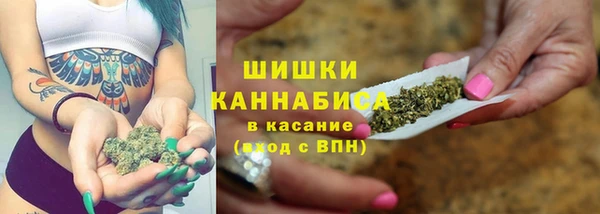 хмурый Бородино