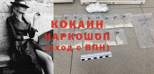 шишки Верхний Тагил