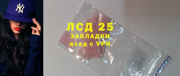 хмурый Бородино