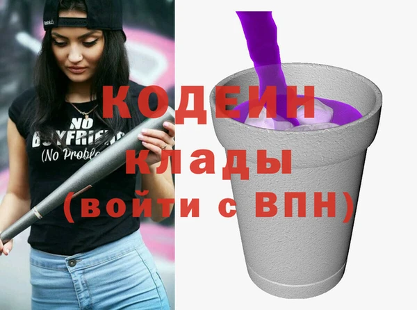 хмурый Бородино