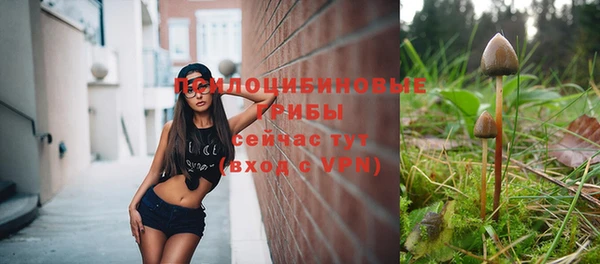 прущая мука Бронницы