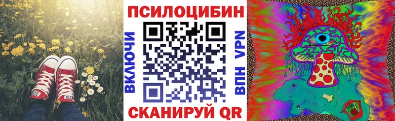 kraken как войти  Инза  Псилоцибиновые грибы ЛСД  наркотики 